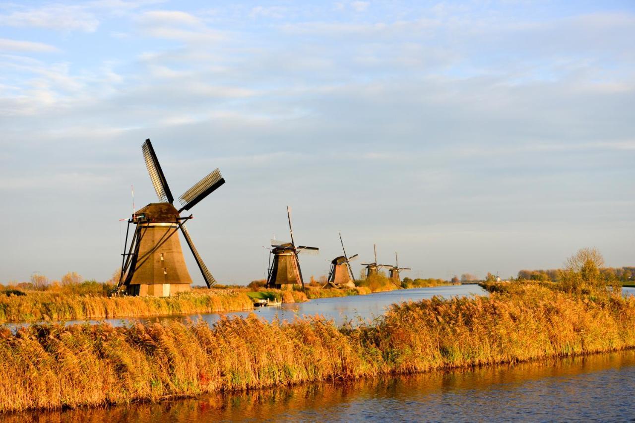 B & B Meet The Dutch Ріддеркерк Екстер'єр фото